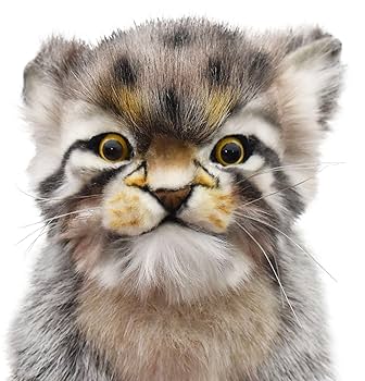 マヌルネコ きまぐれマヌルネコちゃんST まぬぬ / Kimagure Manul Neko-chan